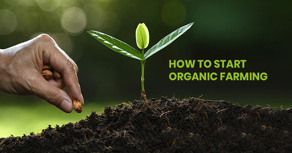how to start organic farming 7453dba3 345c 47d5 9112 3b2ecacae826