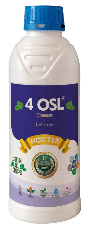 4 OSL