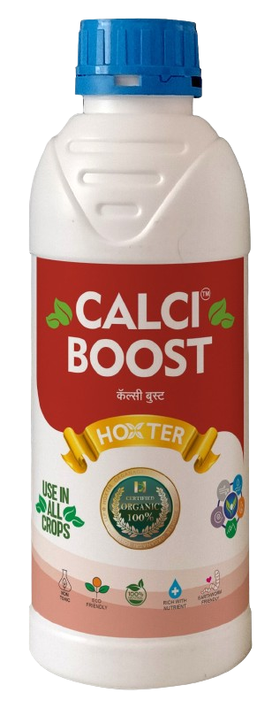 Calsi Boost
