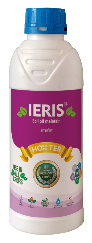 Ieris